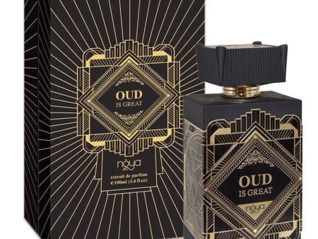 Unisex Perfume Noya Oud Is Great 100 ml Online now