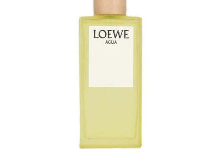 Women s Perfume Loewe EDT on Sale