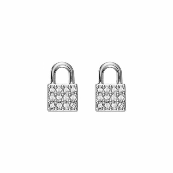 Ladies  Earrings DKNY 5520119 1 cm For Discount