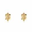 Ladies  Earrings Lancaster JLA-EAR-FROG-6 1,2 cm Fashion