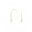 Ladies  Earrings Majorica 16578.01.1.000.010.1 Hot on Sale