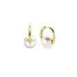 Ladies  Earrings Ti Sento 7850PW For Sale