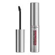 Eyebrow Liner Unbelievabrow L Oréal Paris AA198600 Transparent For Sale