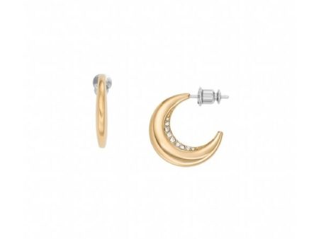 Ladies  Earrings Skagen SKJ1611710 Cheap