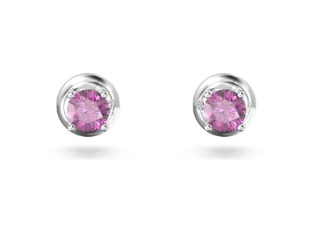 Ladies  Earrings Swarovski 5639135 Online Sale