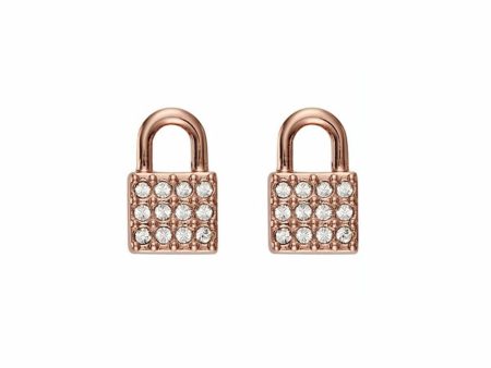 Ladies  Earrings DKNY 5520121 1 cm Hot on Sale