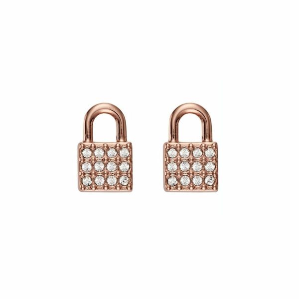 Ladies  Earrings DKNY 5520121 1 cm Hot on Sale