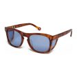 Unisex Sunglasses Hally & Son HS782S03 ø 54 mm For Discount