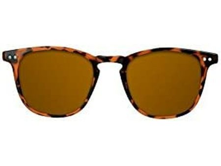 Unisex Sunglasses Northweek Wall Tortoise Brown Tortoise (Ø 45 mm) Online