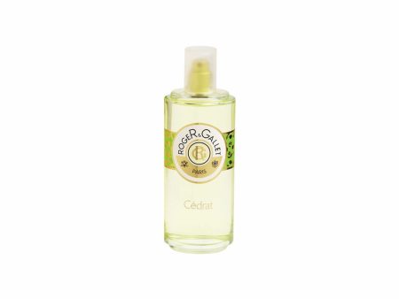 Unisex Perfume Roger & Gallet 160282 EDP EDC 100 ml on Sale