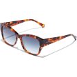 Unisex Sunglasses Hawkers Bhanu (Ø 51 mm) Discount