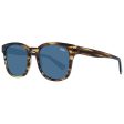 Unisex Sunglasses Superdry Supply